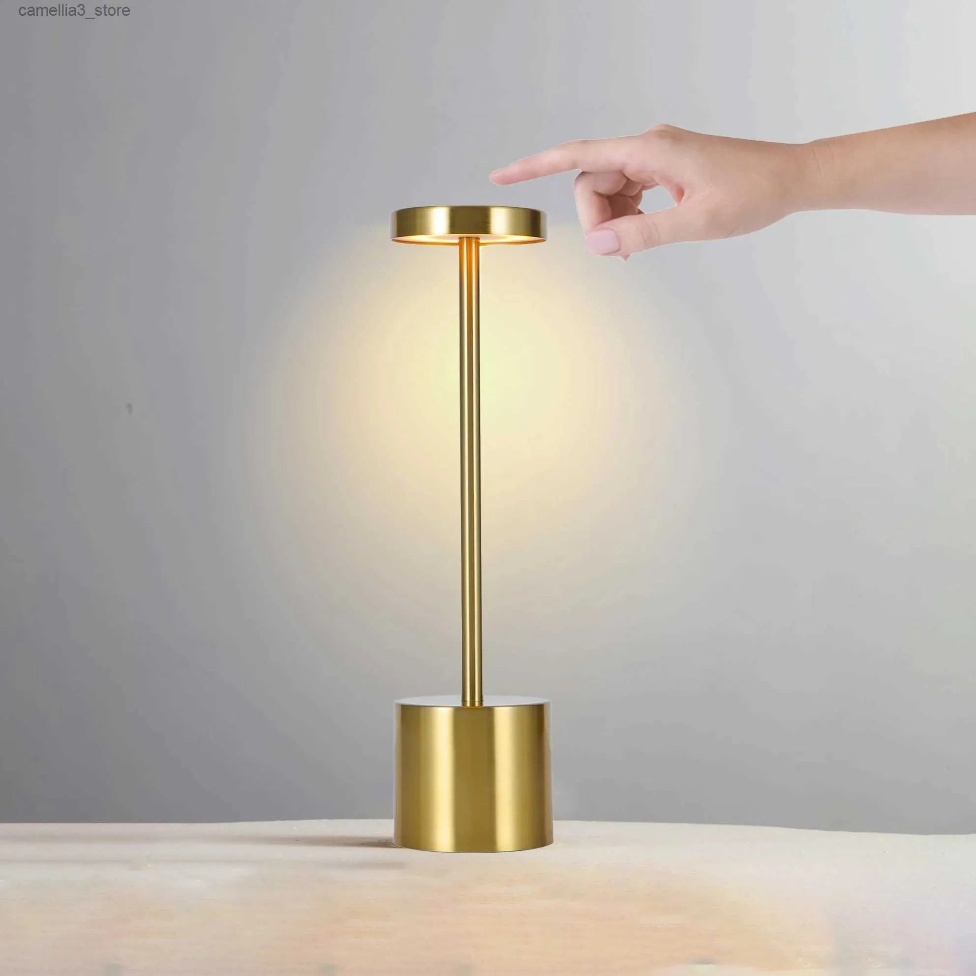 Modern LED Touch Desk Lamp